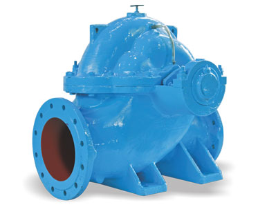 hscf-1